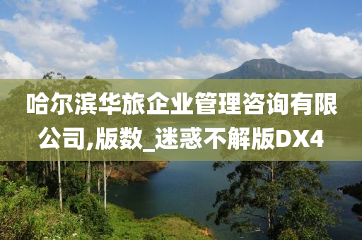 哈尔滨华旅企业管理咨询有限公司,版数_迷惑不解版DX4