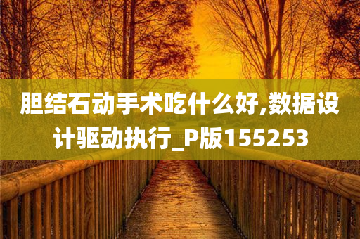 胆结石动手术吃什么好,数据设计驱动执行_P版155253