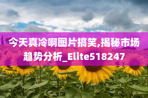 今天真冷啊图片搞笑,揭秘市场趋势分析_Elite518247