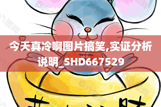 今天真冷啊图片搞笑,实证分析说明_SHD667529