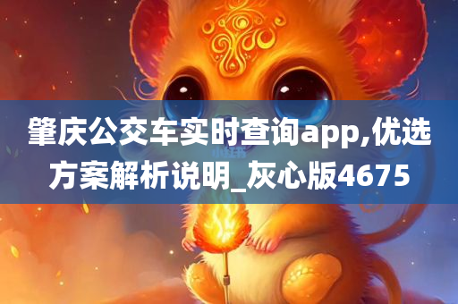 肇庆公交车实时查询app,优选方案解析说明_灰心版4675