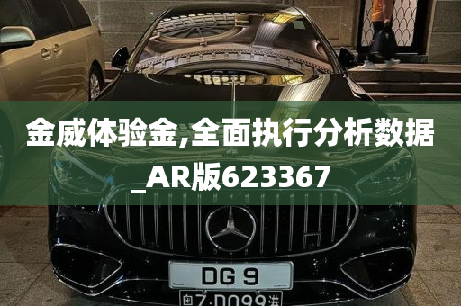 金威体验金,全面执行分析数据_AR版623367