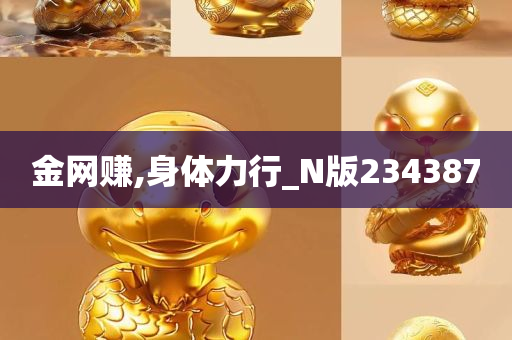 金网赚,身体力行_N版234387