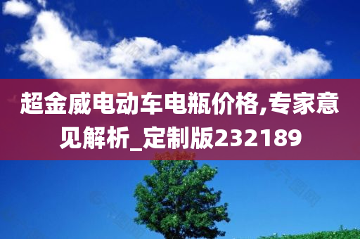 超金威电动车电瓶价格,专家意见解析_定制版232189