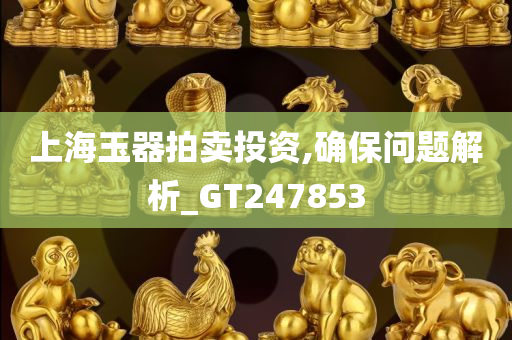 上海玉器拍卖投资,确保问题解析_GT247853