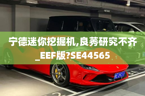 宁德迷你挖掘机,良莠研究不齐_EEF版?SE44565