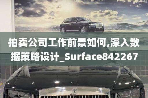 拍卖公司工作前景如何,深入数据策略设计_Surface842267