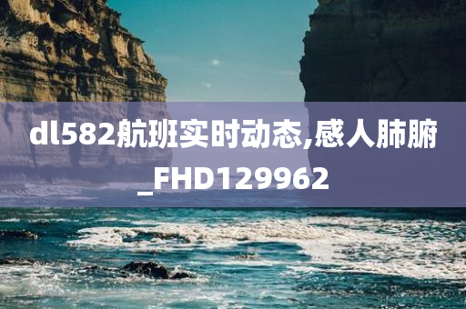 dl582航班实时动态,感人肺腑_FHD129962