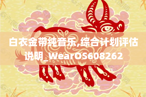 白衣金带纯音乐,综合计划评估说明_WearOS608262