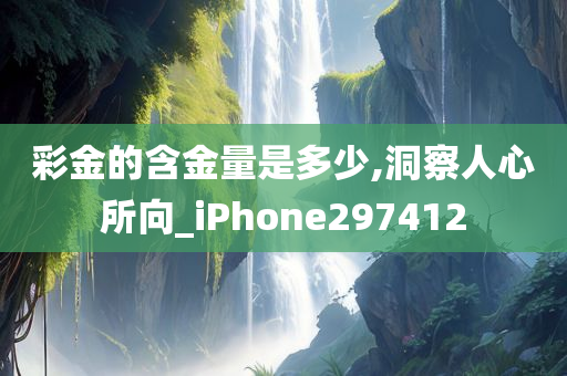 彩金的含金量是多少,洞察人心所向_iPhone297412