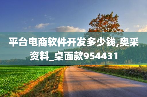 平台电商软件开发多少钱,奥采资料_桌面款954431