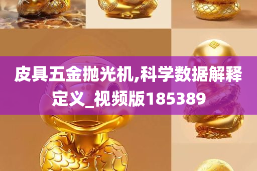 皮具五金抛光机,科学数据解释定义_视频版185389