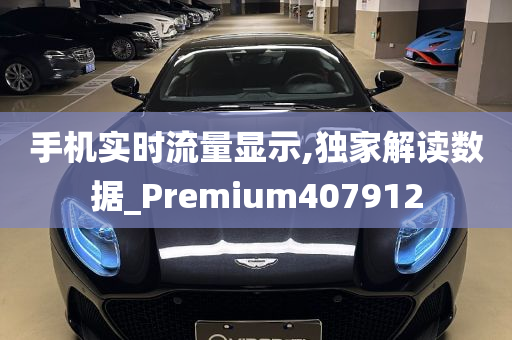 手机实时流量显示,独家解读数据_Premium407912