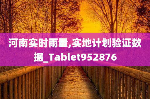 河南实时雨量,实地计划验证数据_Tablet952876