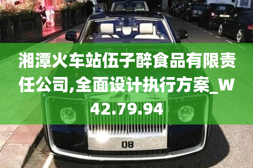 湘潭火车站伍子醉食品有限责任公司,全面设计执行方案_W42.79.94