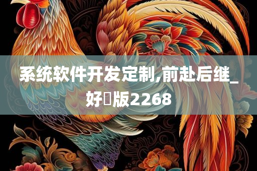 系统软件开发定制,前赴后继_好翫版2268