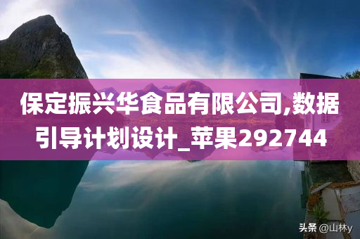 保定振兴华食品有限公司,数据引导计划设计_苹果292744