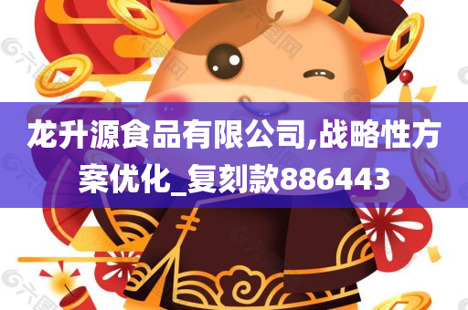 龙升源食品有限公司,战略性方案优化_复刻款886443