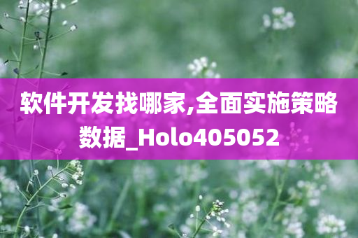 软件开发找哪家,全面实施策略数据_Holo405052