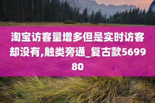 淘宝访客量增多但是实时访客却没有,触类旁通_复古款569980