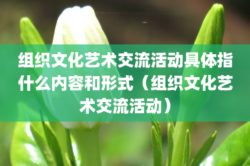 组织文化艺术交流活动具体指什么内容和形式（组织文化艺术交流活动）