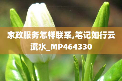 家政服务怎样联系,笔记如行云流水_MP464330