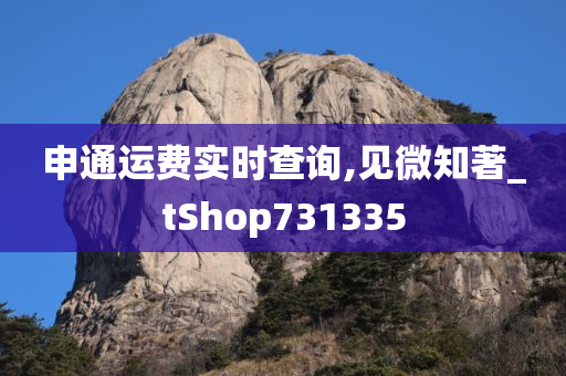 申通运费实时查询,见微知著_tShop731335