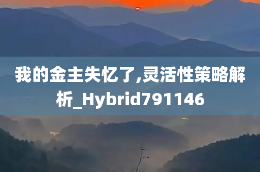 我的金主失忆了,灵活性策略解析_Hybrid791146