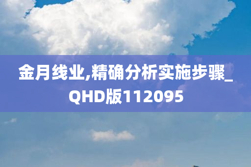 金月线业,精确分析实施步骤_QHD版112095