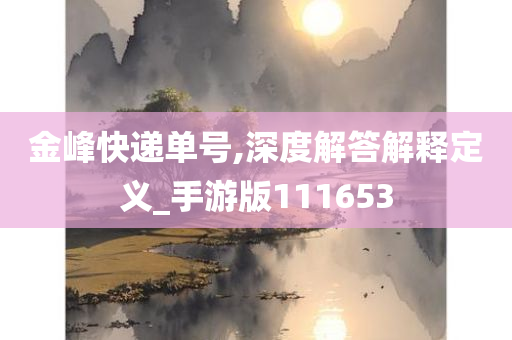 金峰快递单号,深度解答解释定义_手游版111653