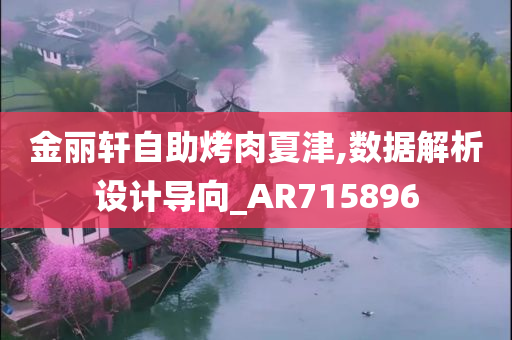 金丽轩自助烤肉夏津,数据解析设计导向_AR715896