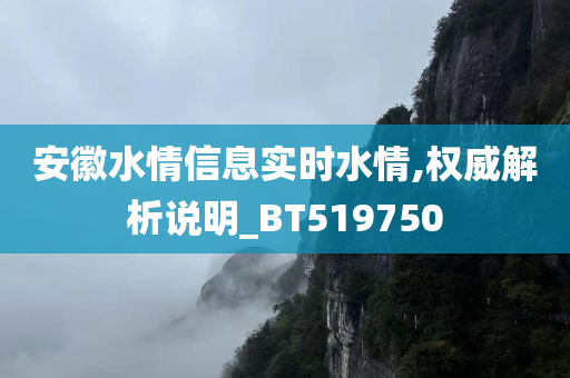 安徽水情信息实时水情,权威解析说明_BT519750