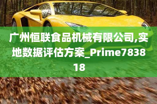 广州恒联食品机械有限公司,实地数据评估方案_Prime783818