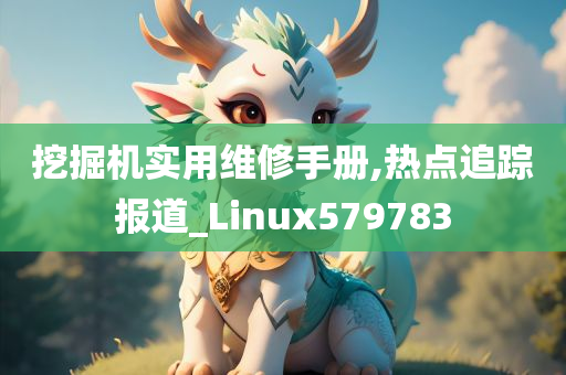 挖掘机实用维修手册,热点追踪报道_Linux579783