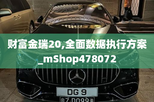 财富金瑞20,全面数据执行方案_mShop478072