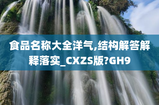 食品名称大全洋气,结构解答解释落实_CXZS版?GH9