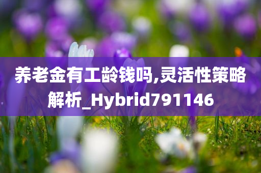 养老金有工龄钱吗,灵活性策略解析_Hybrid791146