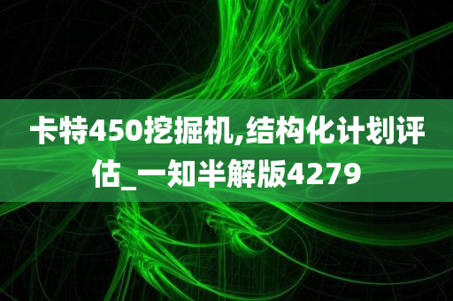 卡特450挖掘机,结构化计划评估_一知半解版4279