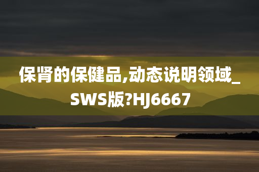 保肾的保健品,动态说明领域_SWS版?HJ6667