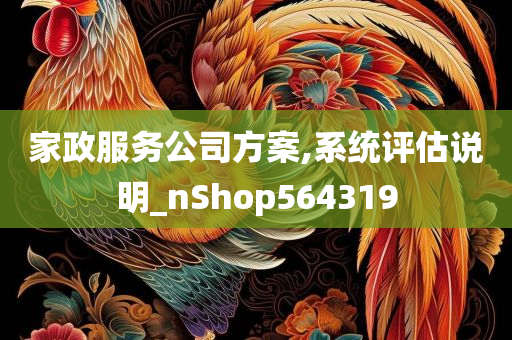 家政服务公司方案,系统评估说明_nShop564319