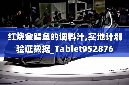 红烧金鲳鱼的调料汁,实地计划验证数据_Tablet952876