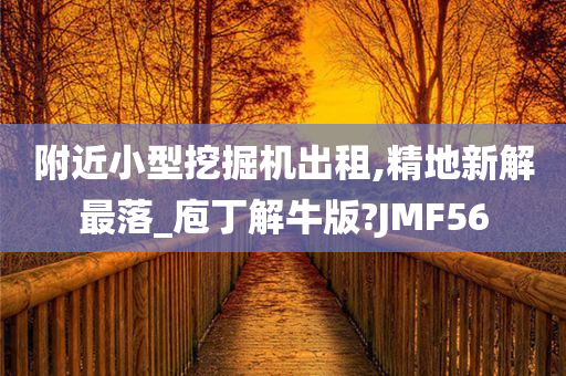 附近小型挖掘机出租,精地新解最落_庖丁解牛版?JMF56