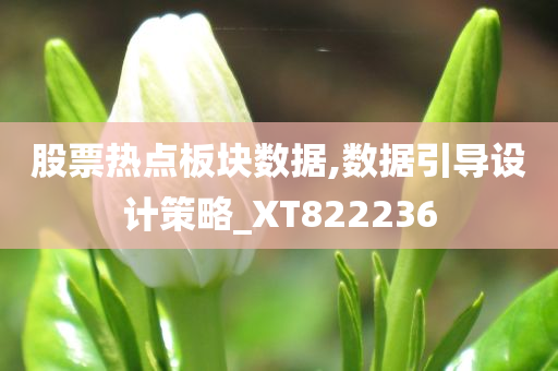 股票热点板块数据,数据引导设计策略_XT822236