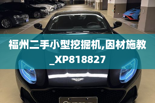 福州二手小型挖掘机,因材施教_XP818827