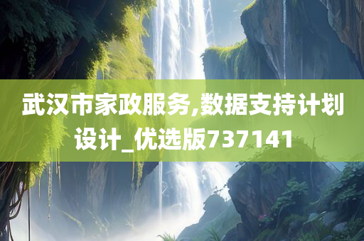 武汉市家政服务,数据支持计划设计_优选版737141