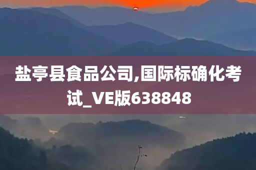 盐亭县食品公司,国际标确化考试_VE版638848