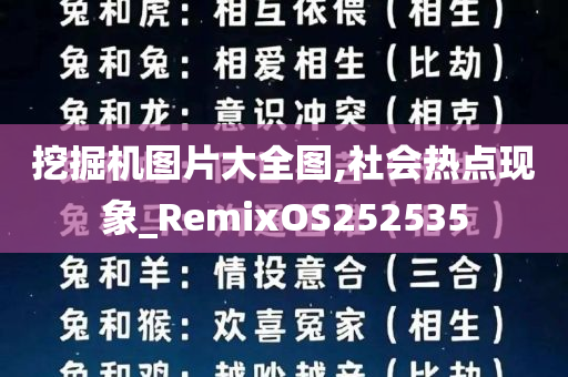 挖掘机图片大全图,社会热点现象_RemixOS252535