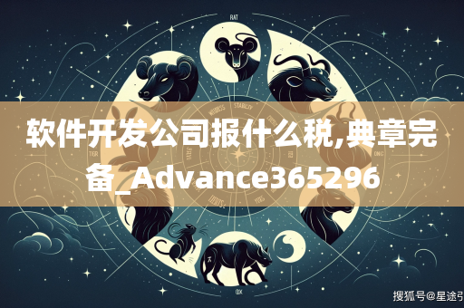 软件开发公司报什么税,典章完备_Advance365296