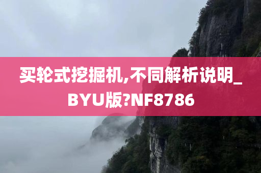 买轮式挖掘机,不同解析说明_BYU版?NF8786