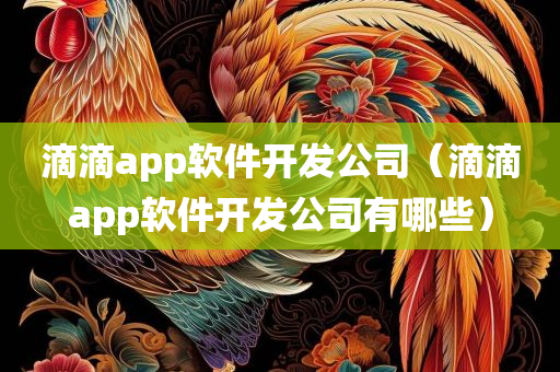 滴滴app软件开发公司（滴滴app软件开发公司有哪些）